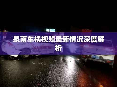 泉南车祸视频最新情况深度解析