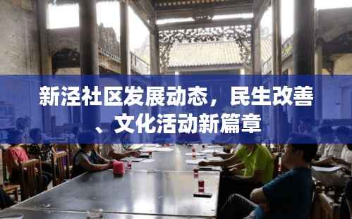 新泾社区发展动态,民生改善、文化活动新篇章