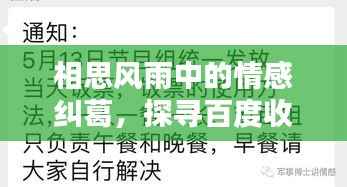 相思风雨中的情感纠葛,探寻百度收录的吸睛标题