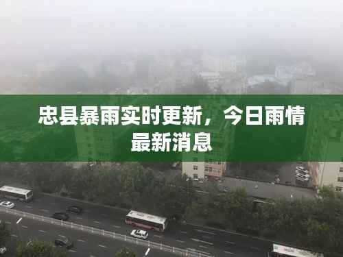 忠县暴雨实时更新,今日雨情最新消息