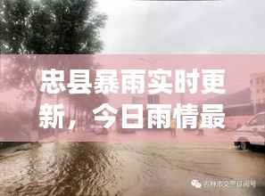 忠县暴雨实时更新,今日雨情最新消息