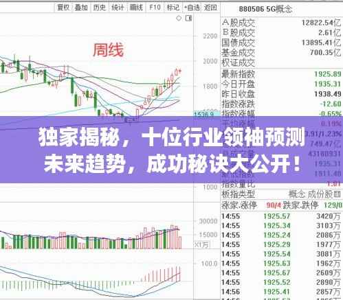 独家揭秘,十位行业领袖预测未来趋势,成功秘诀大公开!
