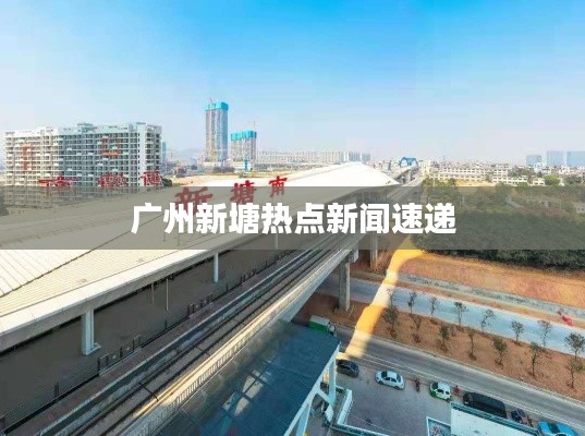 广州新塘热点新闻速递