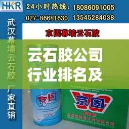云石胶公司行业排名及深远影响力揭秘