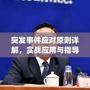 突发事件应对原则详解,实战应用与指导策略