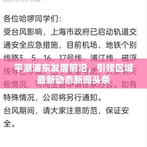 平湖浦东发展前沿,引领区域最新动态新闻头条