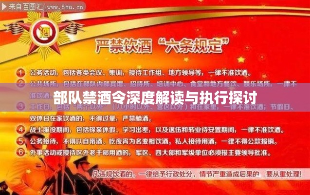 部队禁酒令深度解读与执行探讨