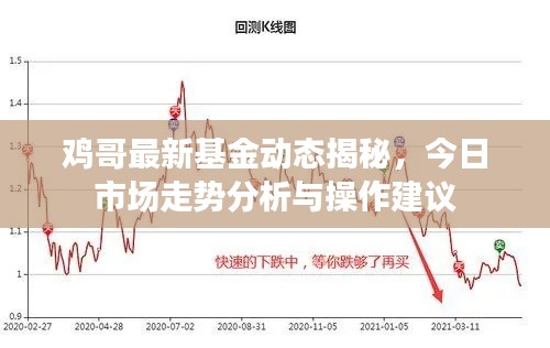 鸡哥最新基金动态揭秘,今日市场走势分析与操作建议