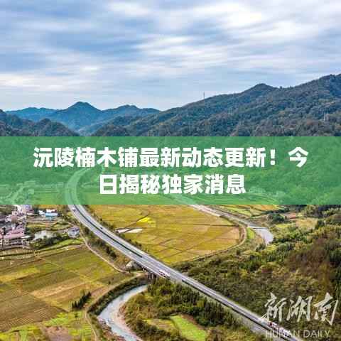 沅陵楠木铺最新动态更新!今日揭秘独家消息