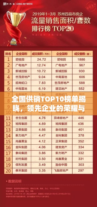全国供销TOP10榜单揭晓,领先企业的荣耀与业绩概览