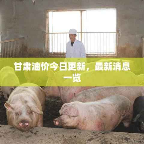 甘肃油价今日更新,最新消息一览