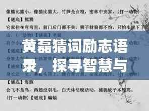 黄磊猜词励志语录,探寻智慧与勇气交汇的源泉