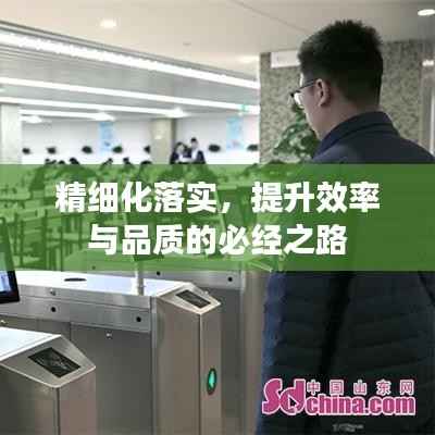 精细化落实,提升效率与品质的必经之路