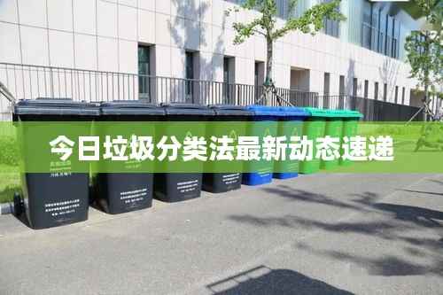 今日垃圾分类法最新动态速递