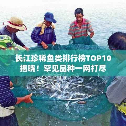 长江珍稀鱼类排行榜TOP10揭晓！罕见品种一网打尽