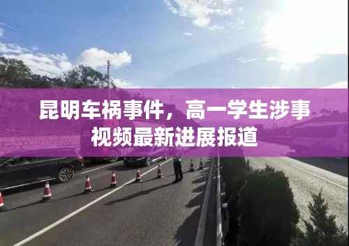 昆明车祸事件,高一学生涉事视频最新进展报道
