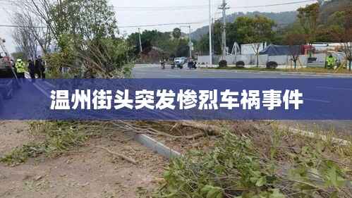 温州街头突发惨烈车祸事件