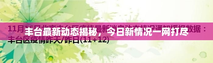 丰台最新动态揭秘,今日新情况一网打尽