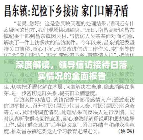 深度解读,领导信访接待日落实情况的全面报告