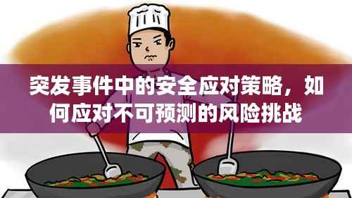 突发事件中的安全应对策略,如何应对不可预测的风险挑战
