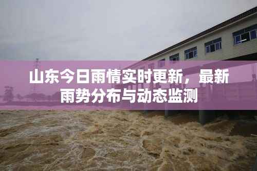 山东今日雨情实时更新,最新雨势分布与动态监测