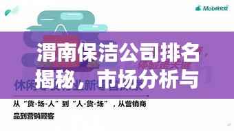 渭南保洁公司排名揭秘,市场分析与深度解读
