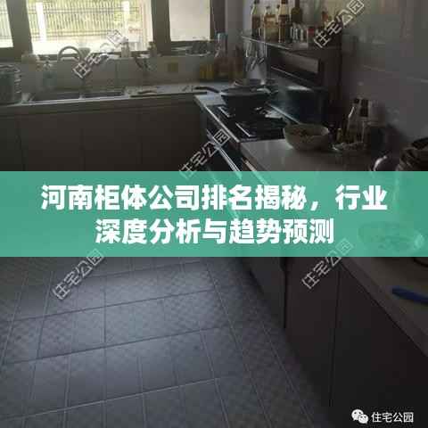 河南柜体公司排名揭秘,行业深度分析与趋势预测