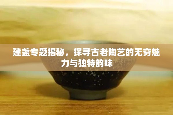 建盏专题揭秘,探寻古老陶艺的无穷魅力与独特韵味