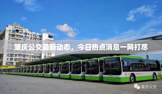 肇庆公交最新动态,今日热点消息一网打尽