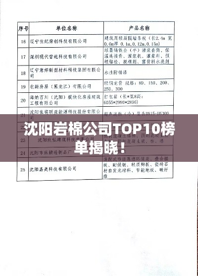 沈阳岩棉公司TOP10榜单揭晓!