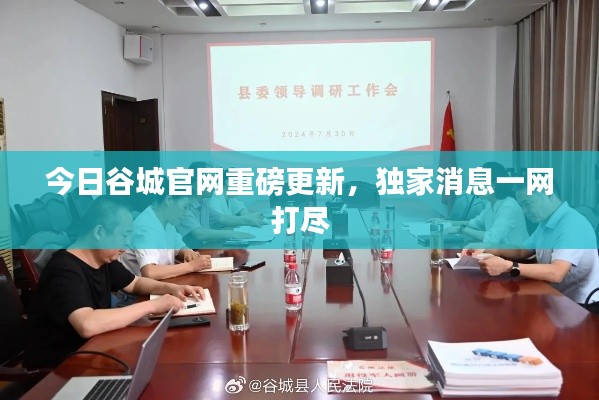 今日谷城官网重磅更新,独家消息一网打尽