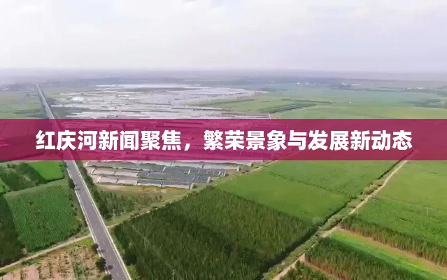 红庆河新闻聚焦,繁荣景象与发展新动态