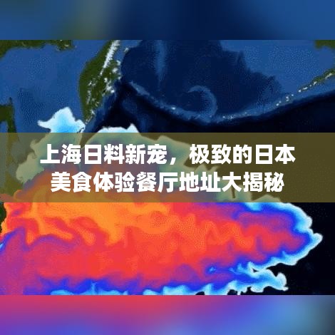 上海日料新宠,极致的日本美食体验餐厅地址大揭秘