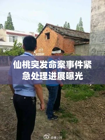 仙桃突发命案事件紧急处理进展曝光