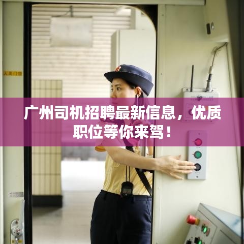 广州司机招聘最新信息,优质职位等你来驾!