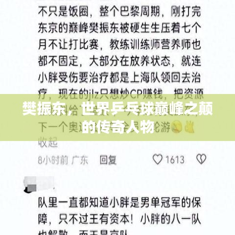 樊振东,世界乒乓球巅峰之颠的传奇人物