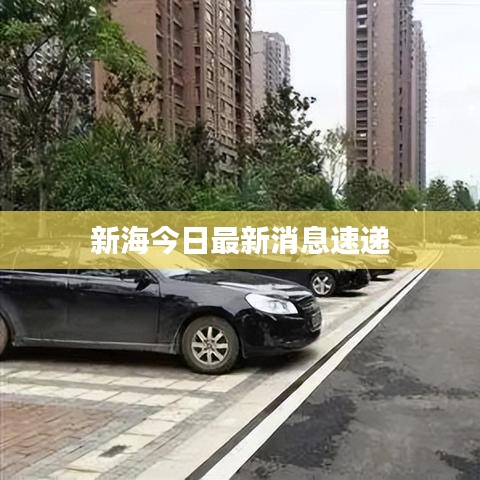 新海今日最新消息速递