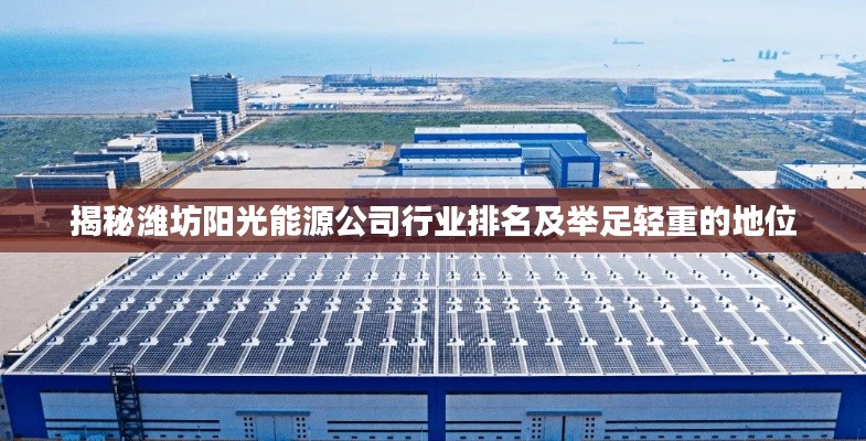 揭秘潍坊阳光能源公司行业排名及举足轻重的地位